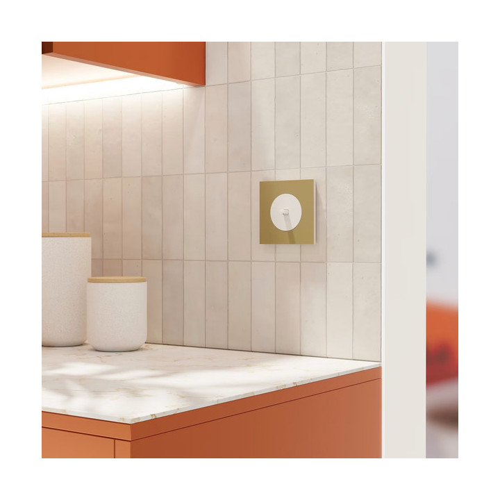 Schneider - Odace Métal 2025 - LOT de 10 Plaques de finition 1 poste - Effet laiton support blanc - Réf : S911702 x 10