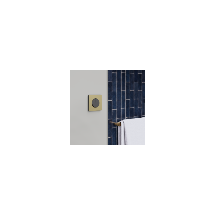 Schneider - Odace Métal 2025 - LOT de 10 Plaques de finition 1 poste - Effet laiton support noir - Réf : S916702 x 10