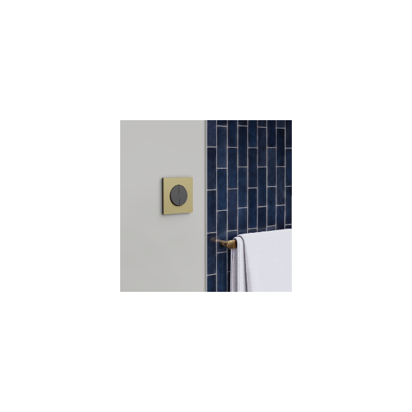 Schneider - Odace Métal 2025 - LOT de 10 Plaques de finition 1 poste - Effet laiton support noir - Réf : S916702 x 10