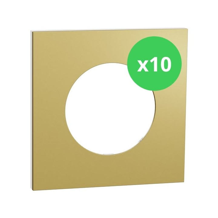 Schneider - Odace Métal 2025 - LOT de 10 Plaques de finition 1 poste - Effet laiton support blanc - Réf : S911702 x 10