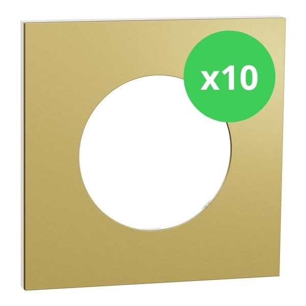 Schneider - Odace Métal 2025 - LOT de 10 Plaques de finition 1 poste - Effet laiton support blanc - Réf : S911702 x 10