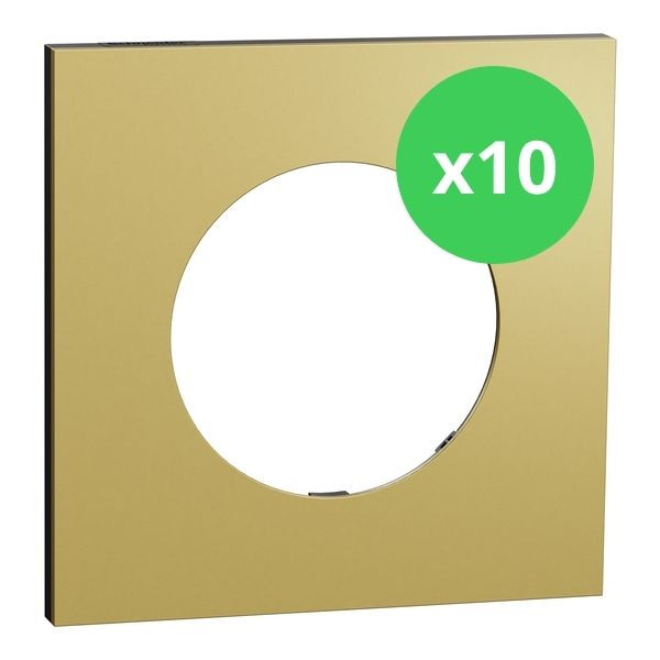 Schneider - Odace Métal 2025 - LOT de 10 Plaques de finition 1 poste - Effet laiton support noir - Réf : S916702 x 10