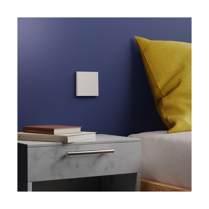 Schneider - Odace Intégral 2025 - LOT de 10 Enjoliveurs et plaque pour va et vient ou poussoir - Blanc craie - Réf : S929221 x10