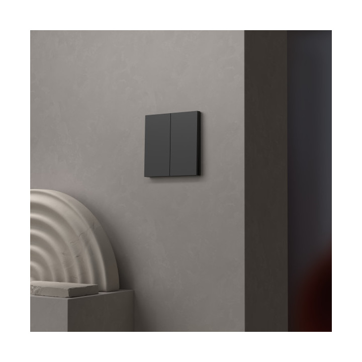 Schneider - Odace Intégral 2025 - LOT de 10 Enjoliveur/plaque double va et vient ou poussoir - Noir onyx - Réf : S949222 x 10