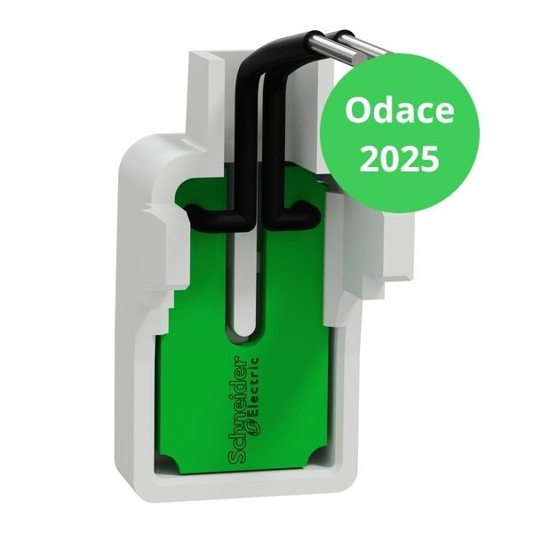 Schneider - Odace 2025 - LOT de 10 LED verte 0,15mA 250V à câbler - Lumineux/témoin - Faible luminosité - Réf : S989291 x 10