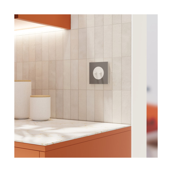 Schneider - Odace 2025 - LOT de 10 Double va-et-vient ou poussoir à levier - 10AX - Blanc craie - Réf : S920213 x 10