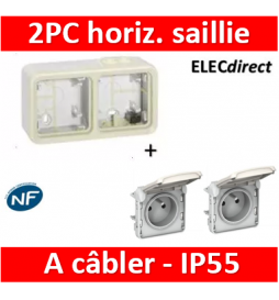 Legrand Plexo - Double prise de courant 2P+T 16A 230V horizontal - IP55/IK07 - blanc - 069621x2+069690