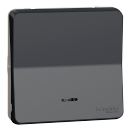 Schneider - Mureva Styl - Va et vient lumineux/témoin - Composable - IP55/IK08 - Connexion auto - Gris - Ref : MUR35025