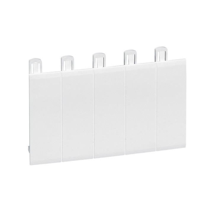 Legrand - Obturateur 5 modules - Blanc RAL 9003 - Réf : 001660