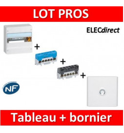 Legrand - LOT PROS - Coffret DRIVIA 13M + bornier Ph+N + porte - 401211+004815+004816+401331