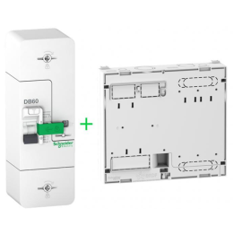 Schneider - Disjoncteur de branchement EDF Instantané 60A 500mA  + Platine 13m- 500mA - Réf. : R9FT660+R9H13206