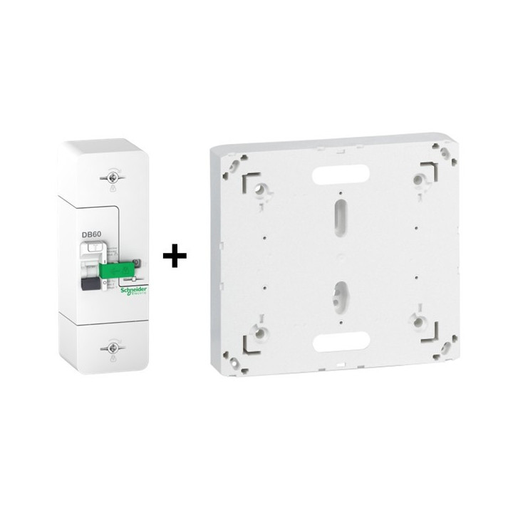 Disjoncteur de branchement EDF 15A/45A instantané + Platine Legrand - 500mA - bipolaire - Réf. : R9FT645+401191