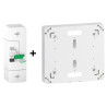 Schneider - Disjoncteur de branchement EDF 15A/45A instantané + Platine Legrand - 500mA - bipolaire - Réf. : R9FT645+401191