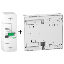 Schneider  - Disjoncteur de branchement EDF 60A instantané + Platine Legrand - 500mA - Bipolaire - Réf. : R9FT660+401191