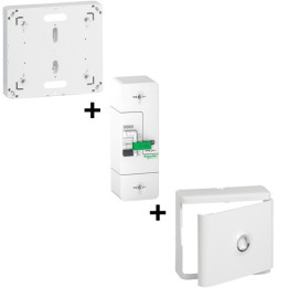 Schneider - DB EDF 60A Instantané + Platine Legrand + Porte avec Habillage Legrand - 500mA - Réf. : R9FT660+401191+401185