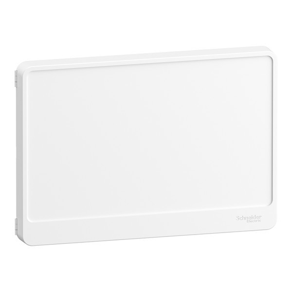 Schneider - Platine Avec Habillage pour Disjoncteur branchement et compteur + Porte - Réf. : R9H18416+R9H18421