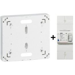 Legrand - Disjoncteur de branchement EDF 15/45A Instantané + Platine - Réf. : 401000+401191