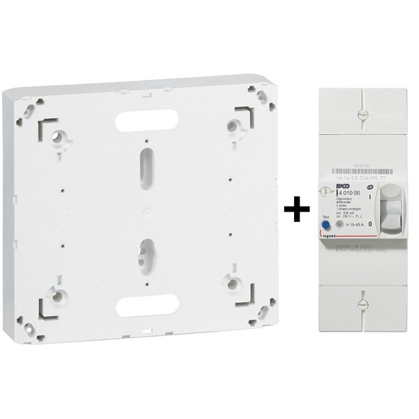 Legrand - Disjoncteur de branchement EDF 15/45A Instantané + Platine - Réf. : 401000+401191