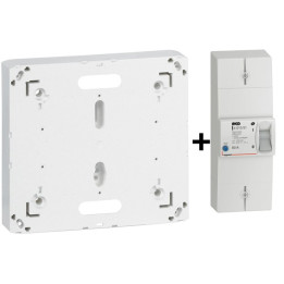 Legrand - Disjoncteur de branchement EDF 60A Instantané + Platine - Réf. : 401051+401191