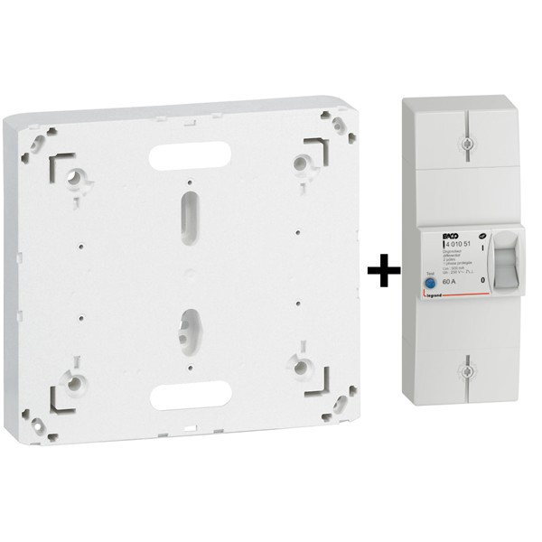Legrand - Disjoncteur de branchement EDF 60A Instantané + Platine - Réf. : 401051+401191