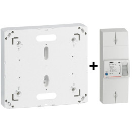 Legrand - Disjoncteur de branchement EDF 60A Instantané + Platine - Réf. : 401051+401191