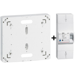 Legrand - Disjoncteur de branchement EDF 15/45A Sélectif + Platine - Réf. : 401003+401191