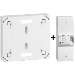 Legrand - Disjoncteur de branchement EDF 15/45A Sélectif + Platine - Réf. : 401003+401191