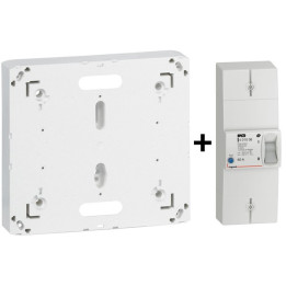 Legrand - Disjoncteur de branchement EDF 60A Sélectif + Platine - Réf. : 401006+401191