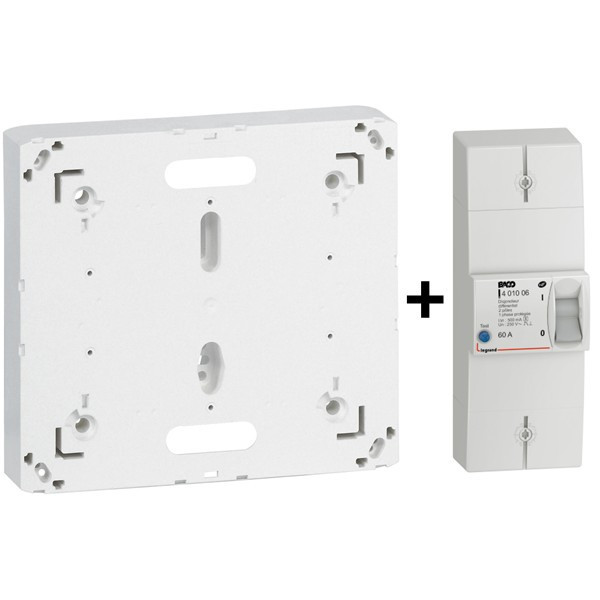 Legrand - Disjoncteur de branchement EDF 60A Sélectif + Platine - Réf. : 401006+401191