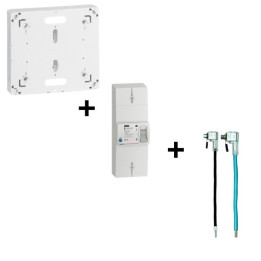 Legrand - Disjoncteur EDF 60A Instantané + Platine + Embouts Ph+N 60A - Réf. :401051+401191+EBCPAU35M16N-B