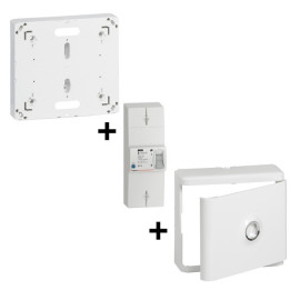 Legrand - Disjoncteur de branchement EDF + Platine + Habillage avec Porte - Réf. : 401051+401191+401185