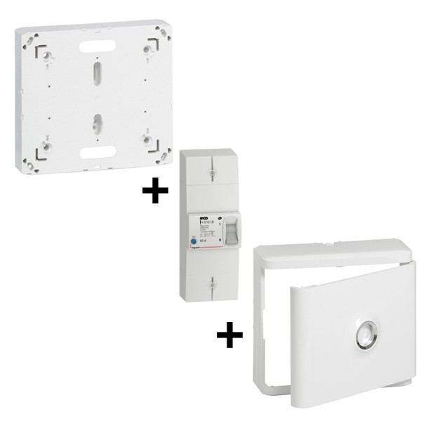 Legrand - Disjoncteur de branchement EDF + Platine + Habillage avec Porte - Réf. : 401006+401191+401185