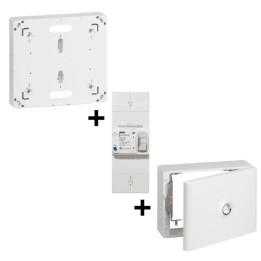 Legrand - Disjoncteur de branchement EDF + Platine + Habillage 18 Modules Avec Porte - Réf. : 401000+401191+401189