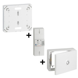 Legrand - Disjoncteur de branchement EDF + Platine + Habillage 18 Modules Avec Porte - Réf. : 401051+401191+401189