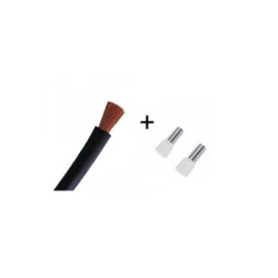 Cordon de 40cm de 16mm² souple Noir + Embout pour platine DB