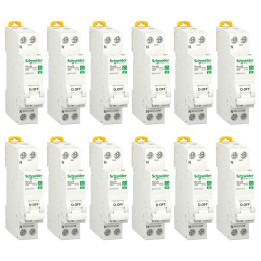 Schneider - Resi9 XP - LOT de 12 Disjoncteurs 16A - VIS/VIS - Réf. : R9PFC616x12