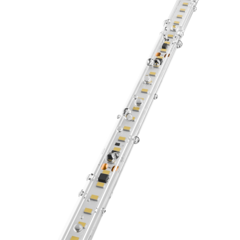 Spectrum - Bande LED en rouleau de 25m - 600lm/m - 8W/m - 230V - Réf : WOJ+17006_ROLL