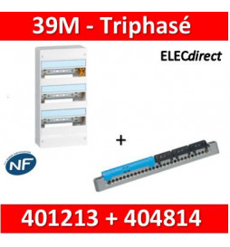 Legrand - LOT PROS - Coffret DRIVIA 39 Modules triphasé+Neutre  - 401213+404814