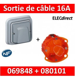 Legrand Plexo - Sortie de câble encastré - 16A + boîte Batibox IP55/IK08 - 069848+080101