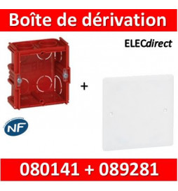 Legrand Batibox - Boîte à sceller P.40 + Couvercle universel 80 x 80 Réf : 080141+089281