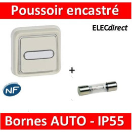 Legrand - Poussoir NO + NF lumineux Prog Plexo complet encastré blanc - 10 A - 069864