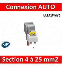 Legrand - Borne de raccordement à connexion auto - section 4 à 25 mm² - 405207