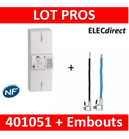Legrand - Disjoncteur de branchement EDF 60A instantané + Embout EDF 60A 16mm2 - 401051+embout