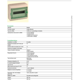 Schneider - Coffret Kaedra 1 rangée 12M - IP65/IK09 - 13962