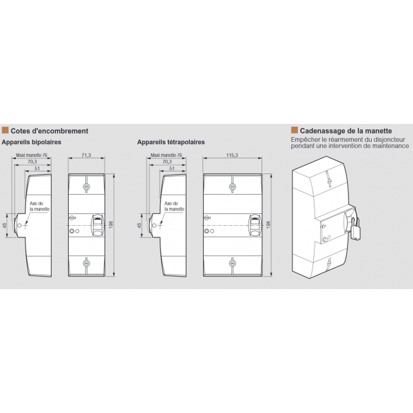 Disjoncteur de branchement non différentiel 2 pôles 230V 10-30A Legrand