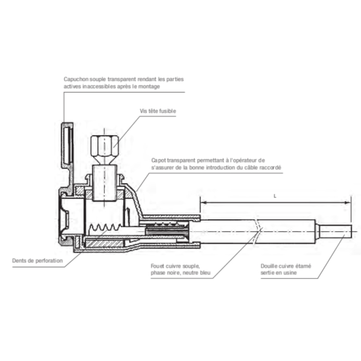 Klauke - Embout de raccordement EDF Phase + Neutre - 60A - 16mm2 - Longueur 300mm - Réf : EBCPAU35M16LOT