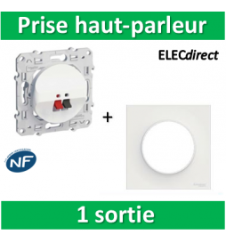 Odace prise haut parleur 1 sortie Anthracite (S540487)