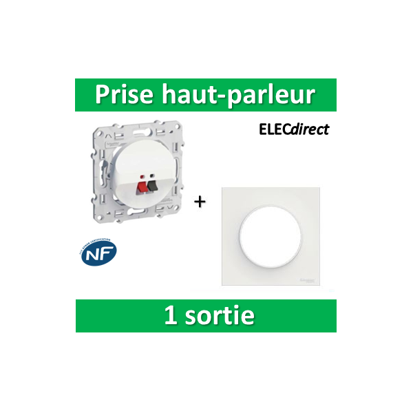 Odace prise haut parleur 1 sortie Anthracite (S540487)