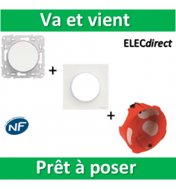 Schneider Odace - Va-et-Vient + plaque + boîte d'encastrement SIB BBC - s520204+s520702+36840