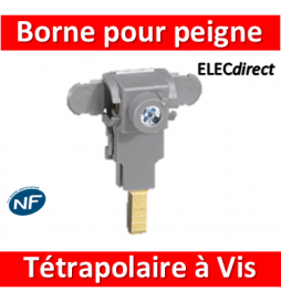 Legrand - Borne de raccordement pour peigne tétrapolaire à vis - 405208